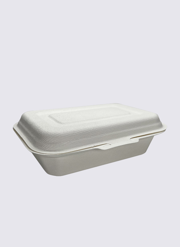 450 ml Bagasse-sukkerrør-musling-madbeholder